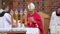 Beatyfikacja bł. Stanisława Streicha